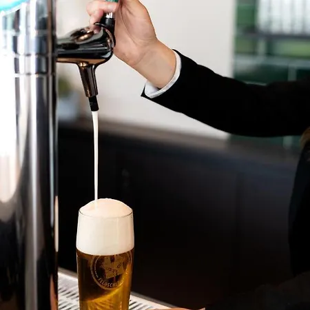 B&B Hotel Basel 호텔 3*